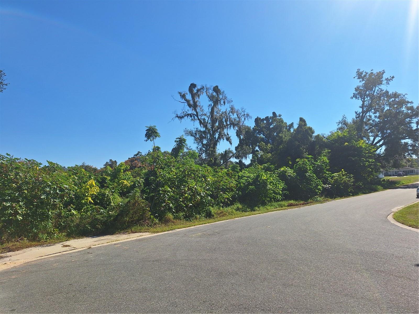 Details for 335 12th Street, APOPKA, FL 32703