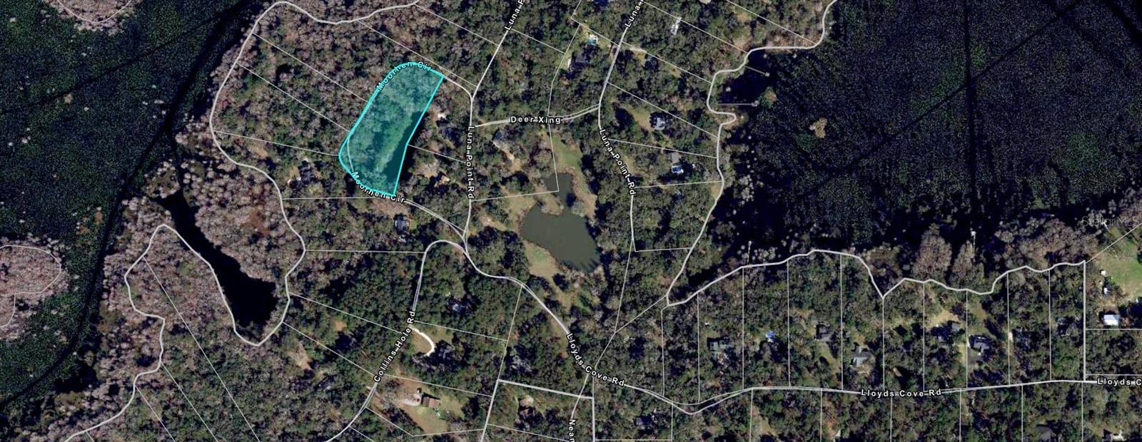 Image 10 of 11 For 000 Moorhen Circle