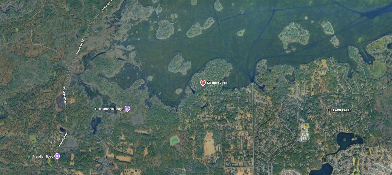 Image 11 of 11 For 000 Moorhen Circle