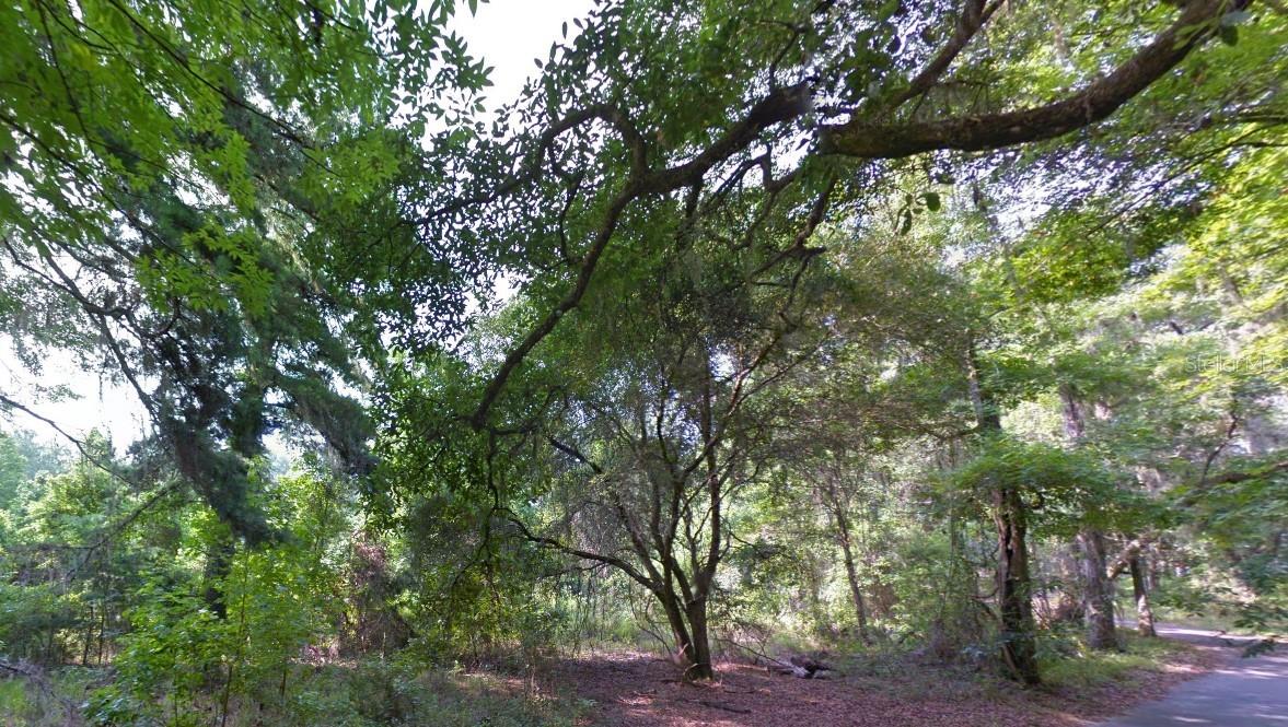 Image 2 of 11 For 000 Moorhen Circle