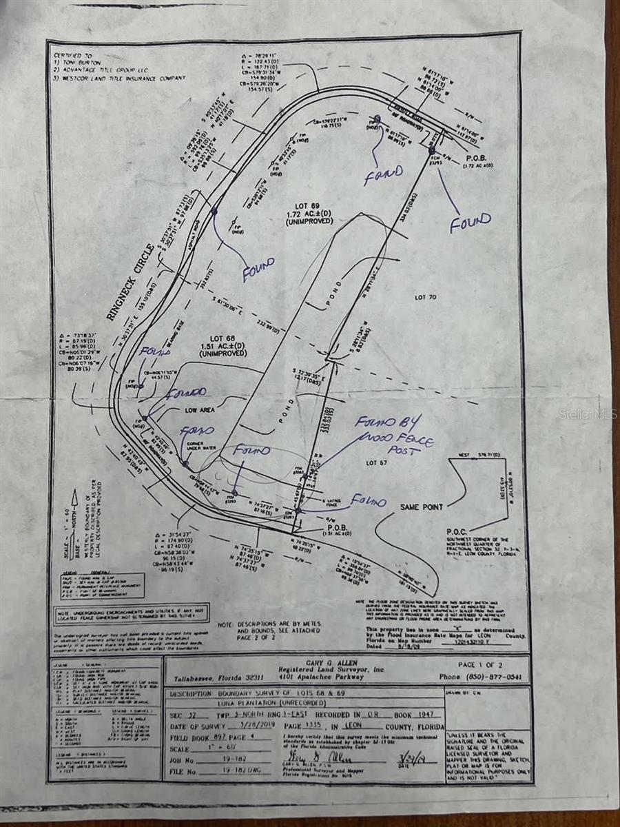 Image 3 of 11 For 000 Moorhen Circle