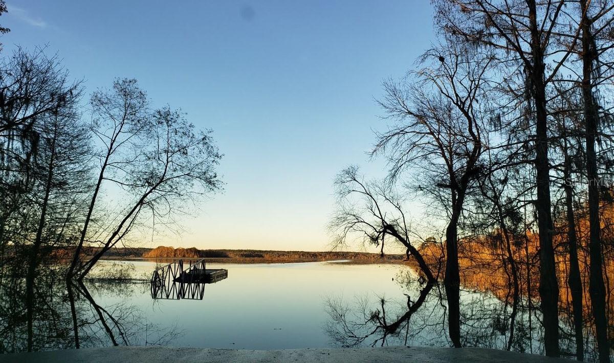 Image 5 of 11 For 000 Moorhen Circle