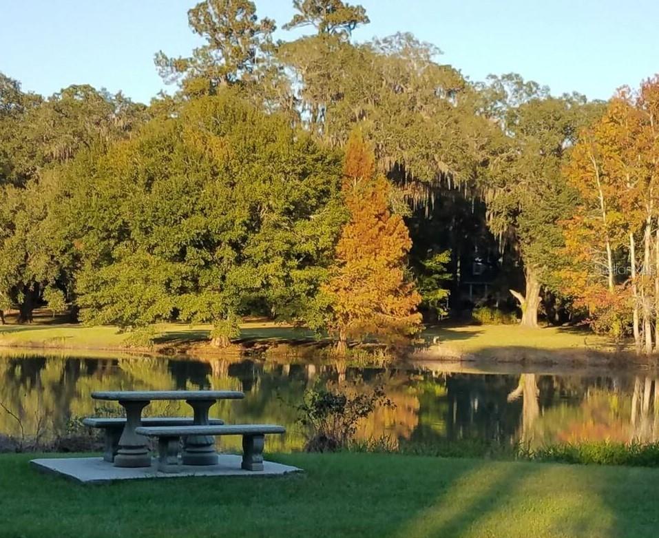 Image 6 of 11 For 000 Moorhen Circle