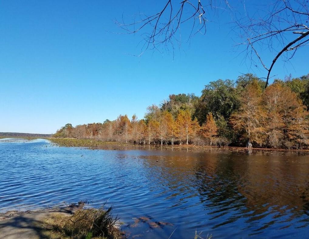 Image 7 of 11 For 000 Moorhen Circle