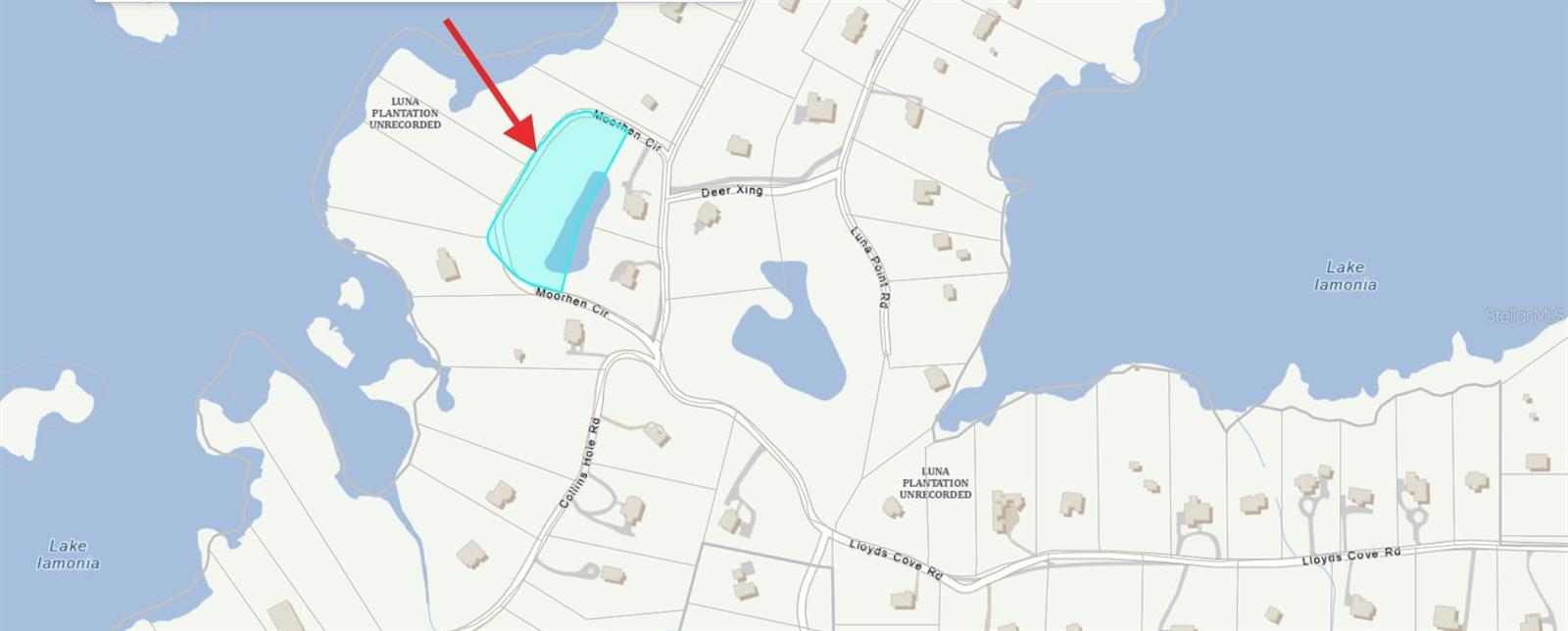 Image 8 of 11 For 000 Moorhen Circle