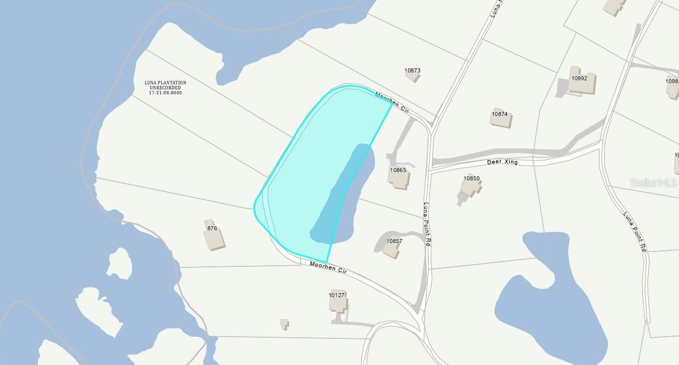 Image 9 of 11 For 000 Moorhen Circle