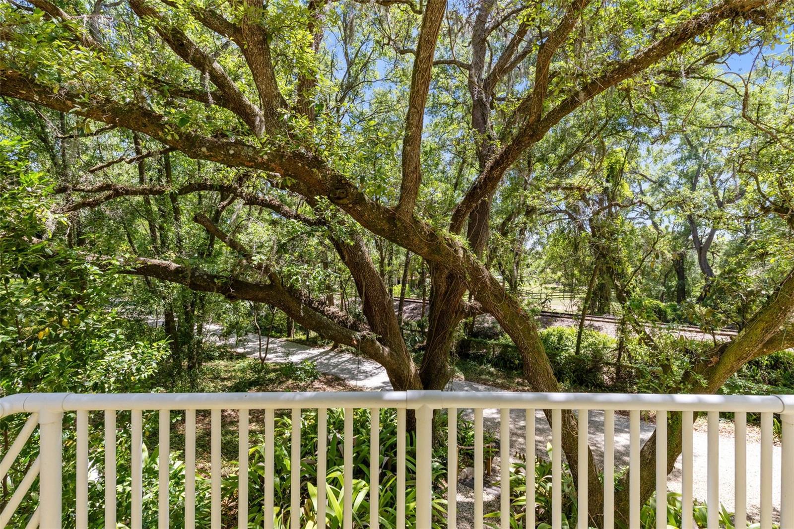 Image 30 of 35 For 5789 Apopka Vineland Road