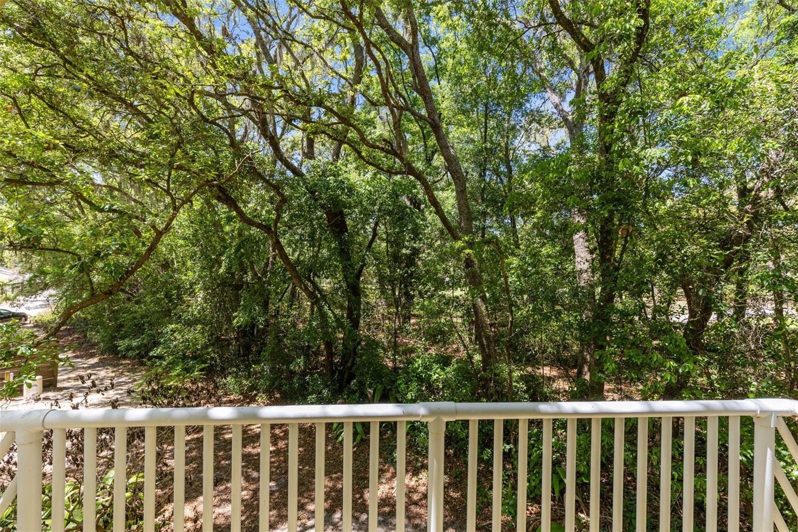 Image 31 of 35 For 5789 Apopka Vineland Road