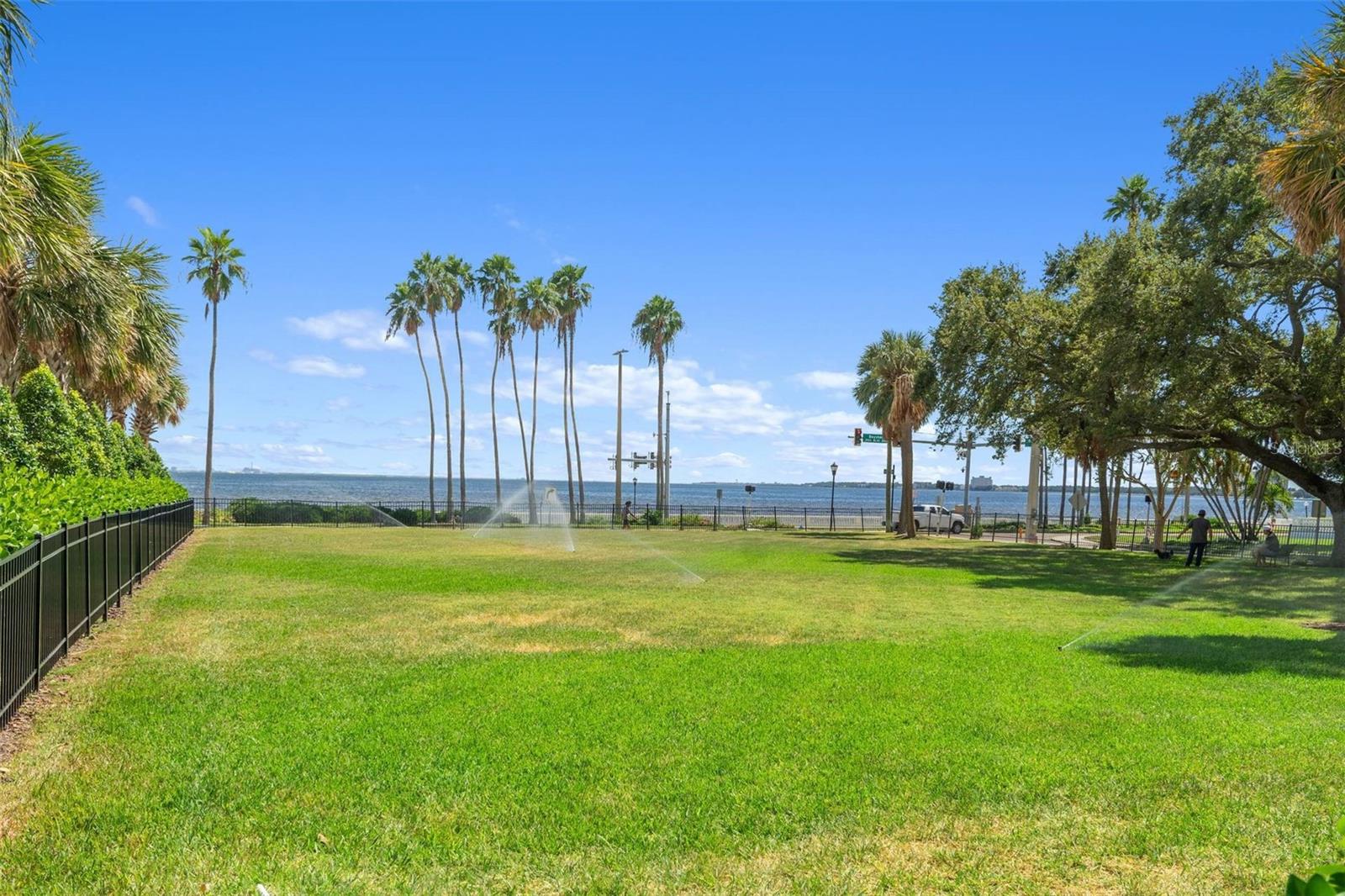 Image 3 of 18 For 2109 Bayshore Boulevard 1006