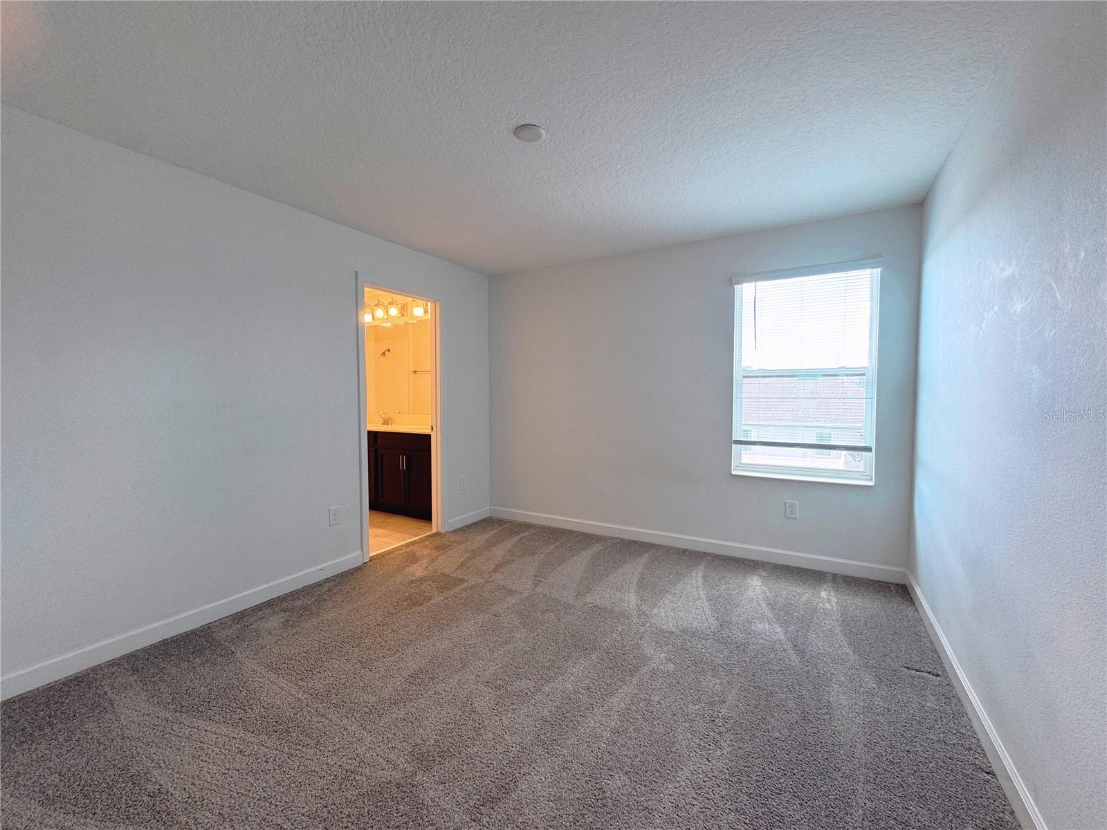 Image 38 of 56 For 11070 Longleaf Woods Drive