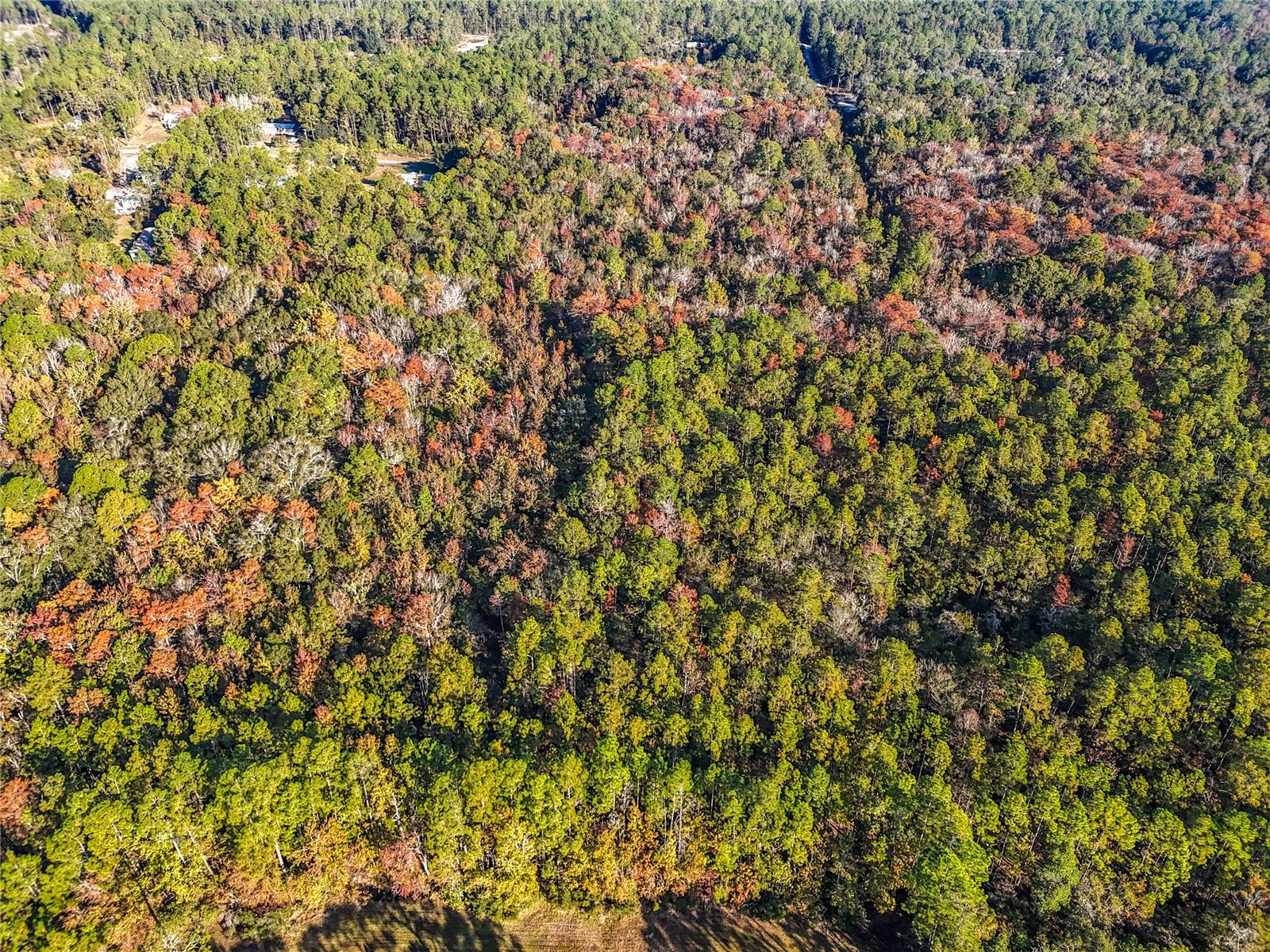 Image 10 of 18 For  6th Terrace 