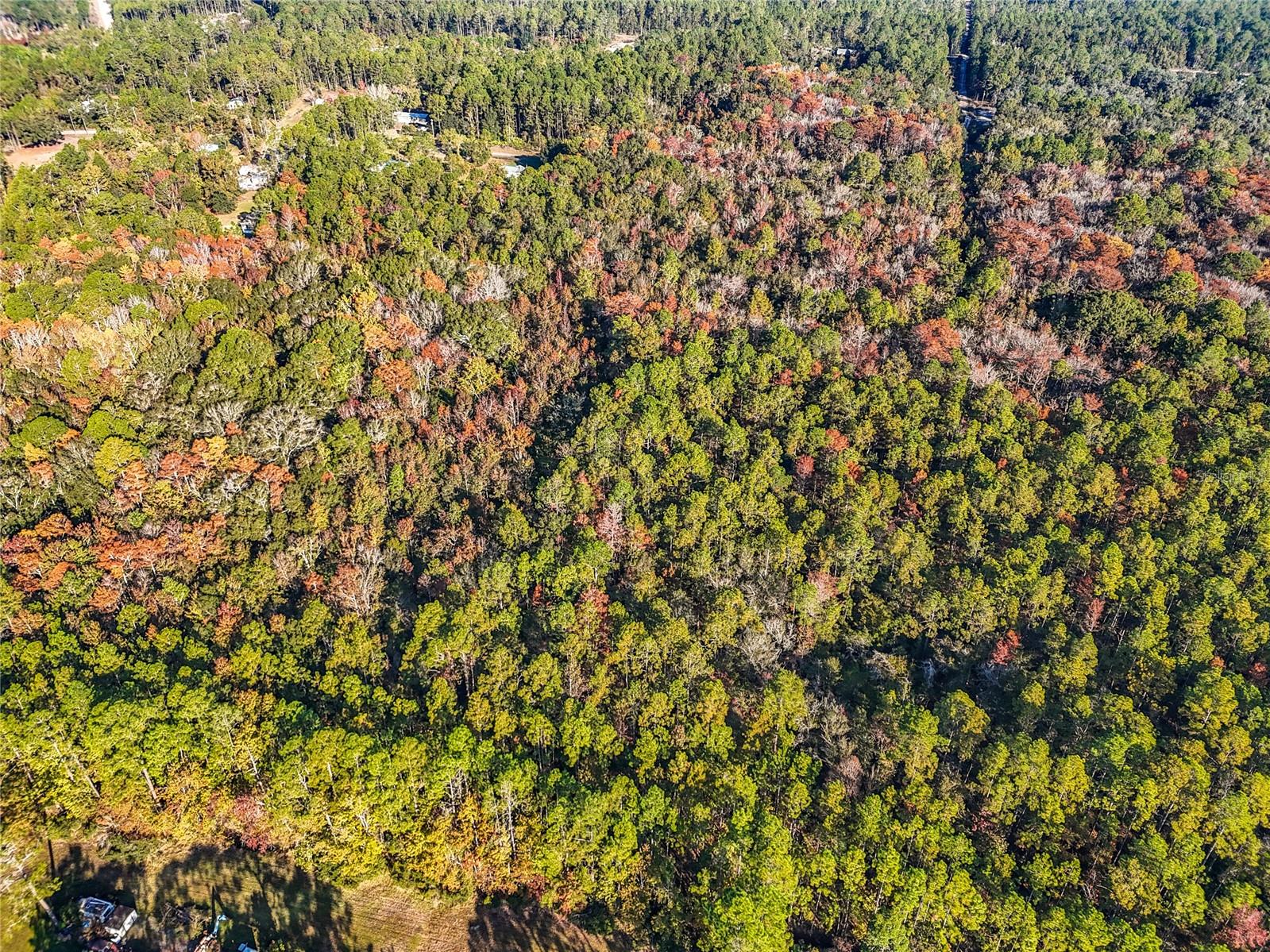 Image 11 of 18 For  6th Terrace 