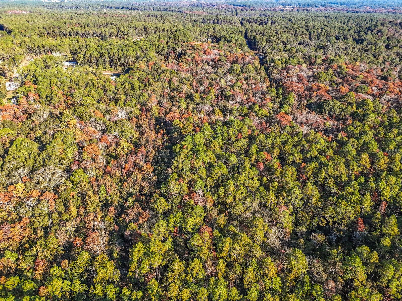 Image 12 of 18 For  6th Terrace 