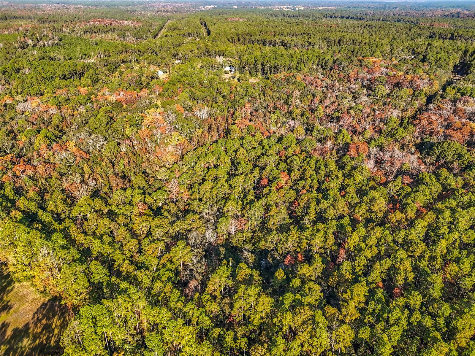 Image 14 of 18 For  6th Terrace 