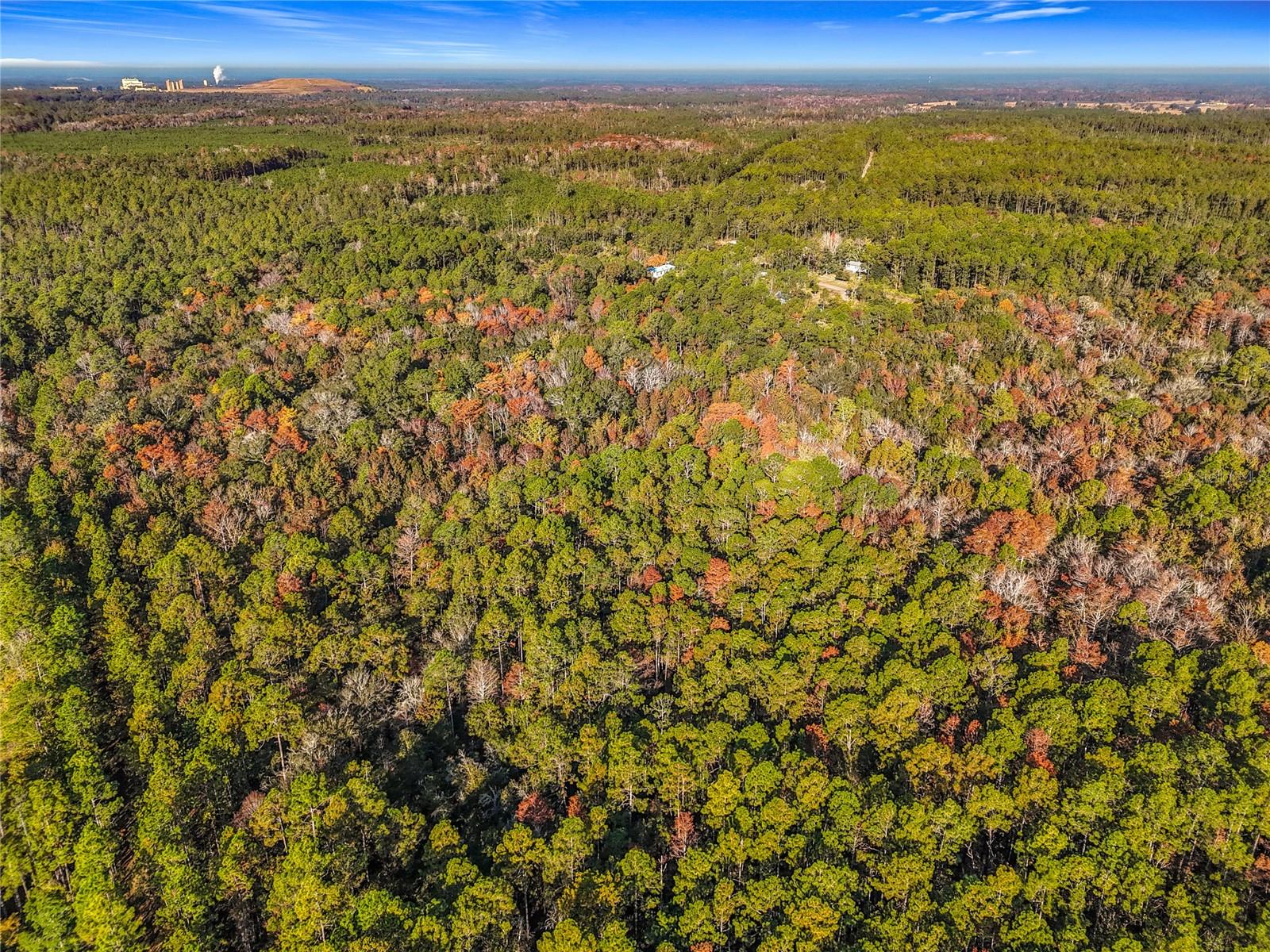 Image 15 of 18 For  6th Terrace 