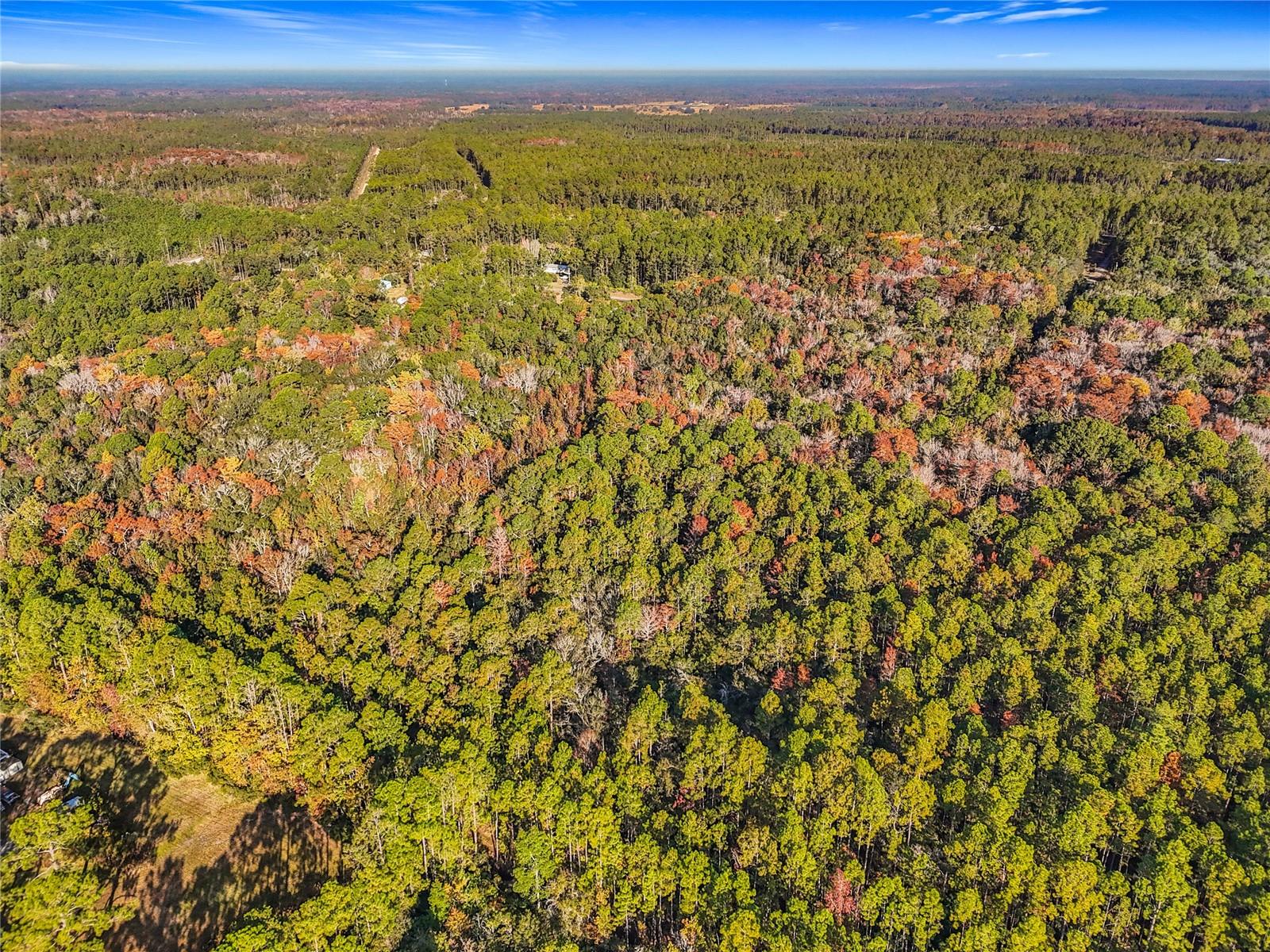 Image 16 of 18 For  6th Terrace 