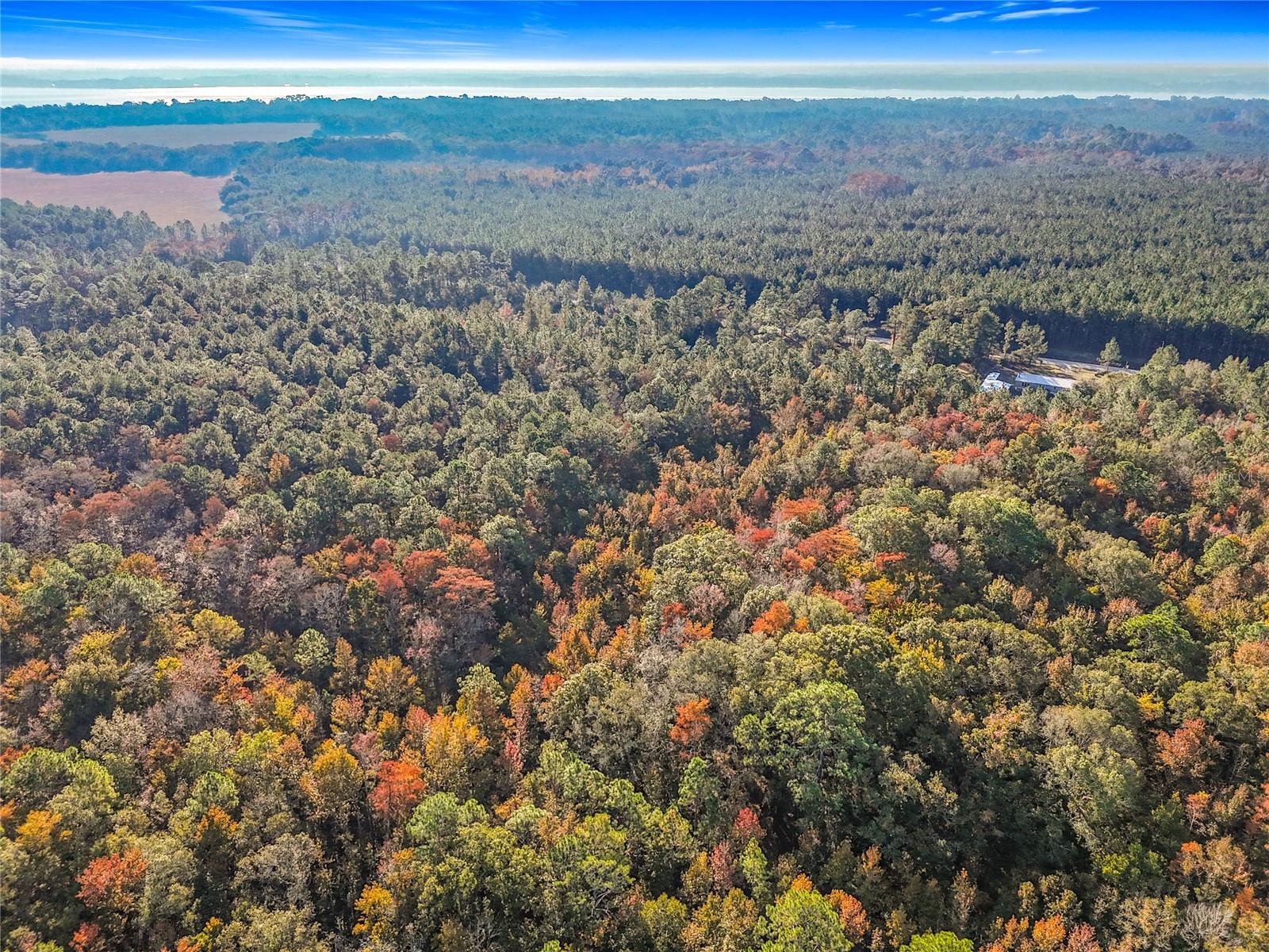 Image 7 of 18 For  6th Terrace 