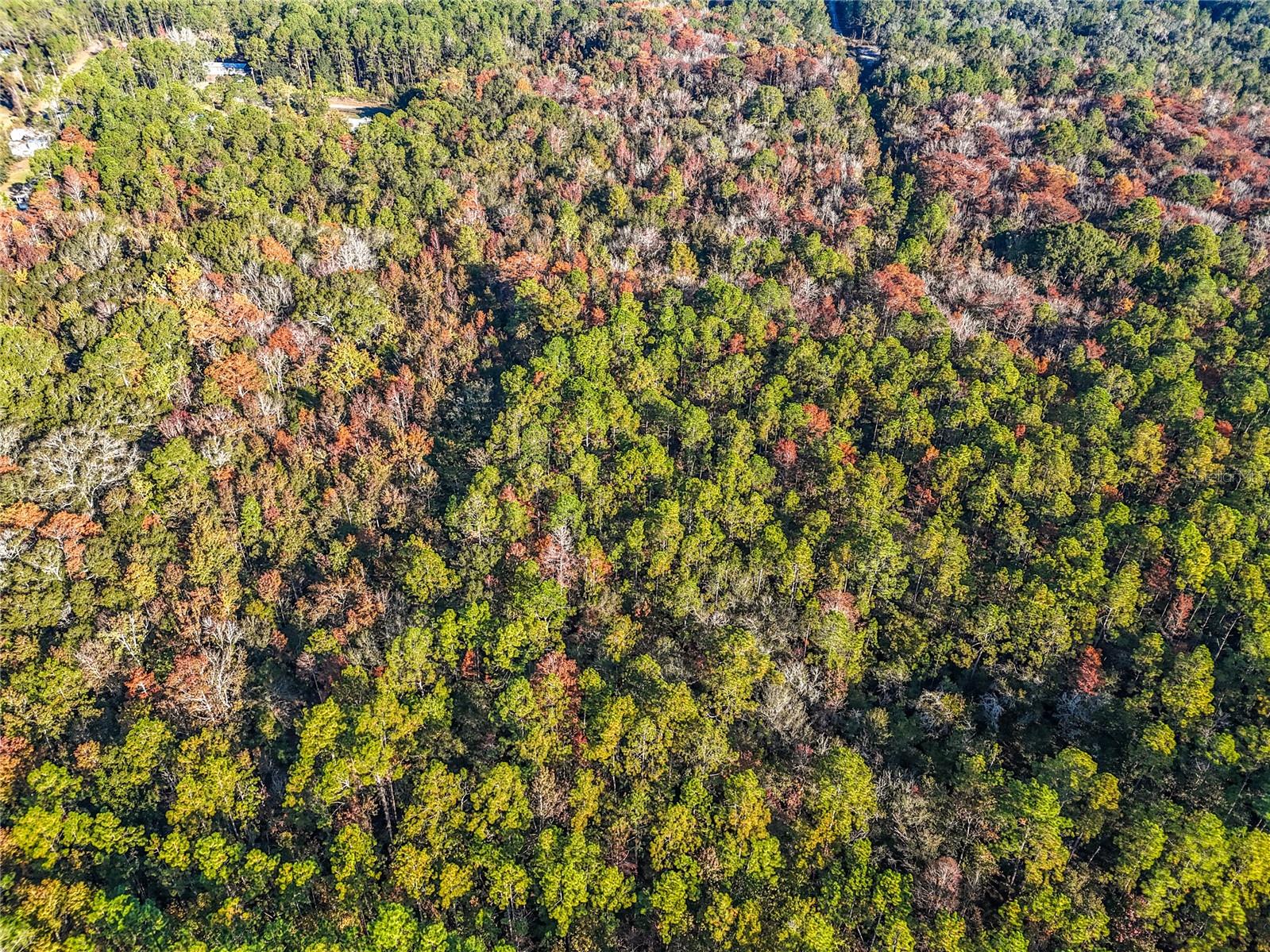 Image 8 of 18 For  6th Terrace 