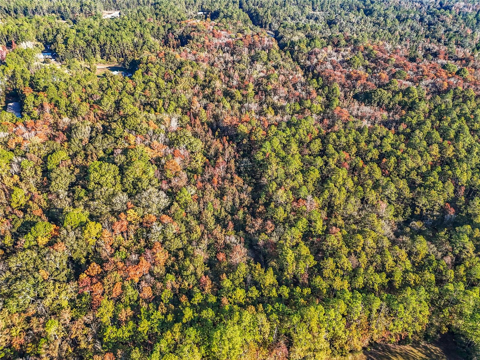 Image 9 of 18 For  6th Terrace 