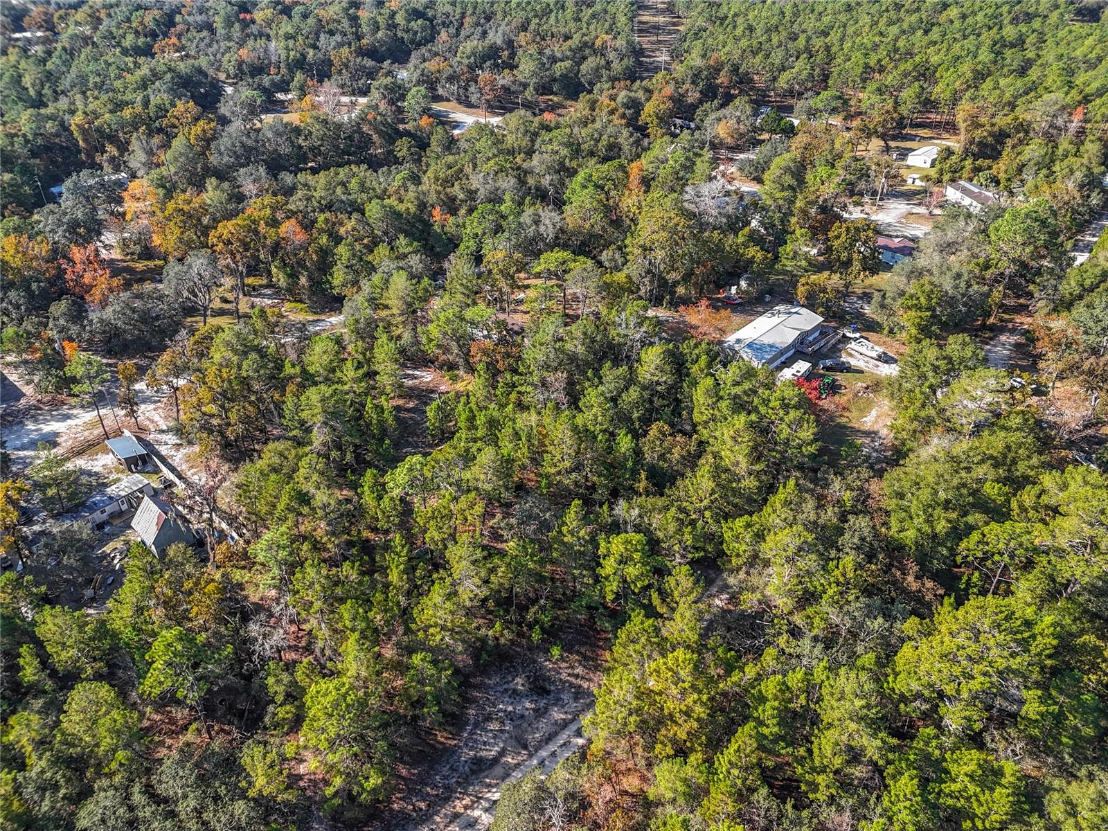 Image 11 of 17 For 109 Lucas Street