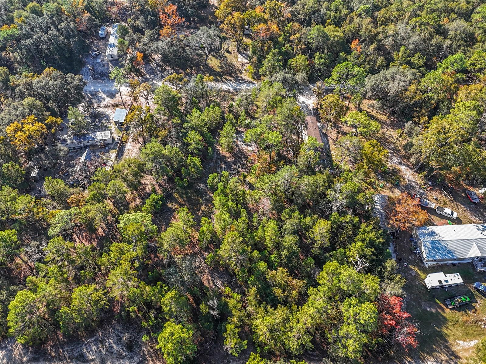 Image 12 of 17 For 109 Lucas Street