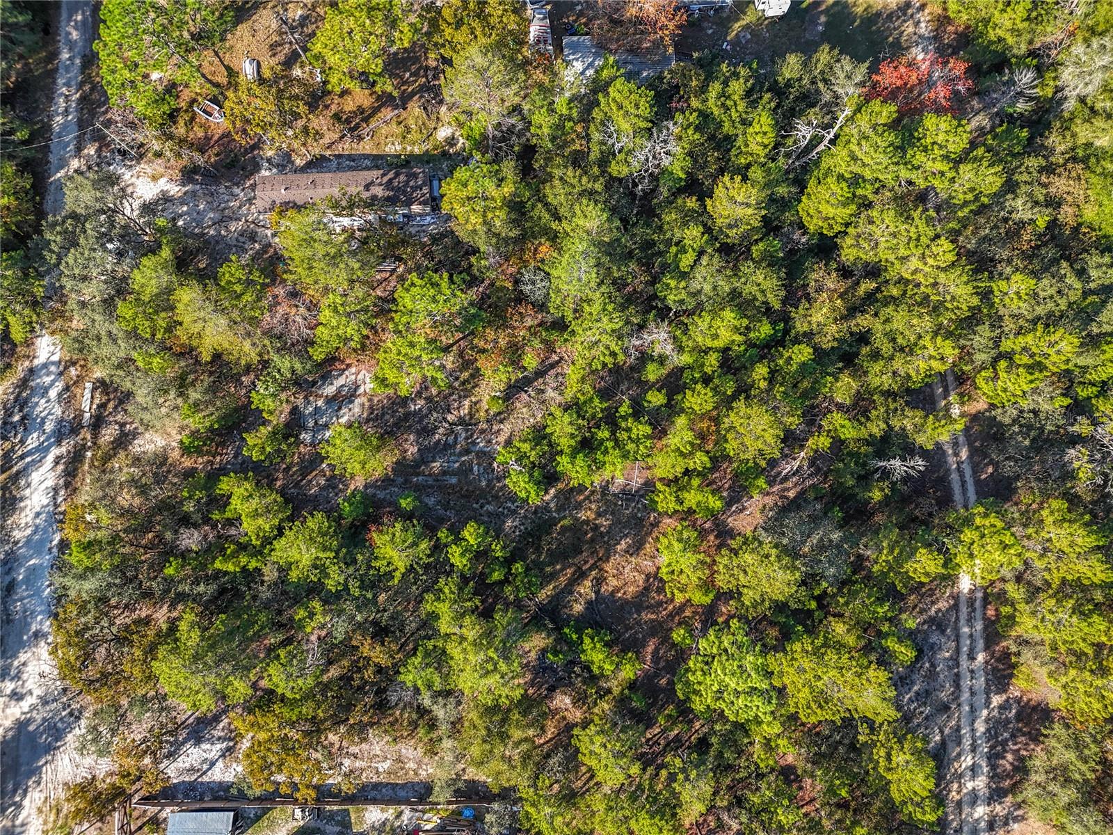 Image 14 of 17 For 109 Lucas Street