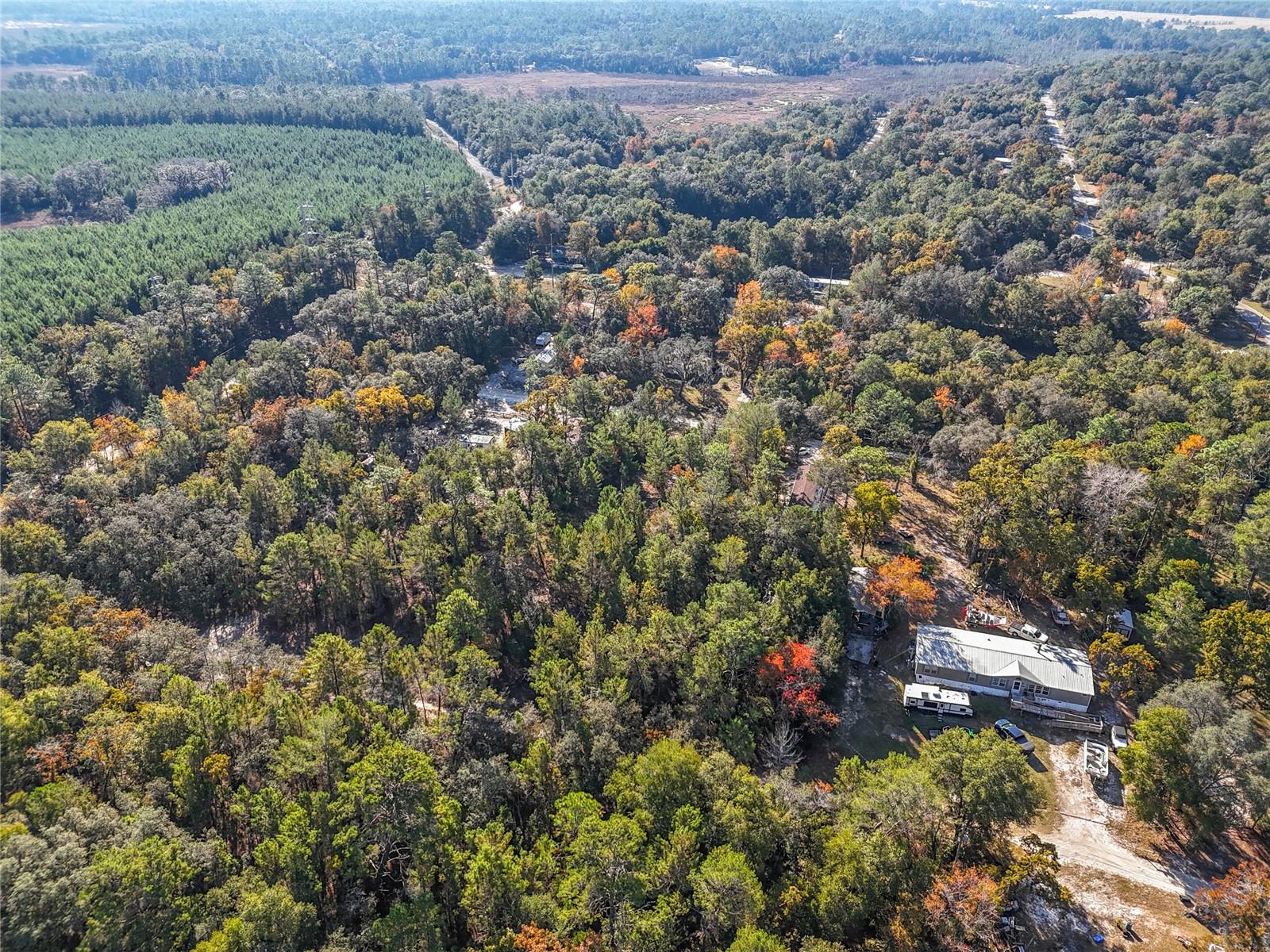 Image 15 of 17 For 109 Lucas Street