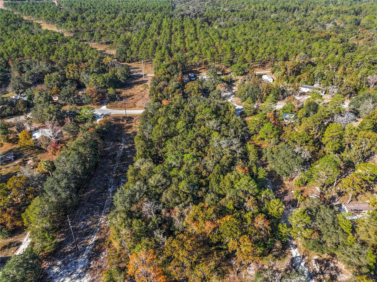 Image 16 of 17 For 109 Lucas Street