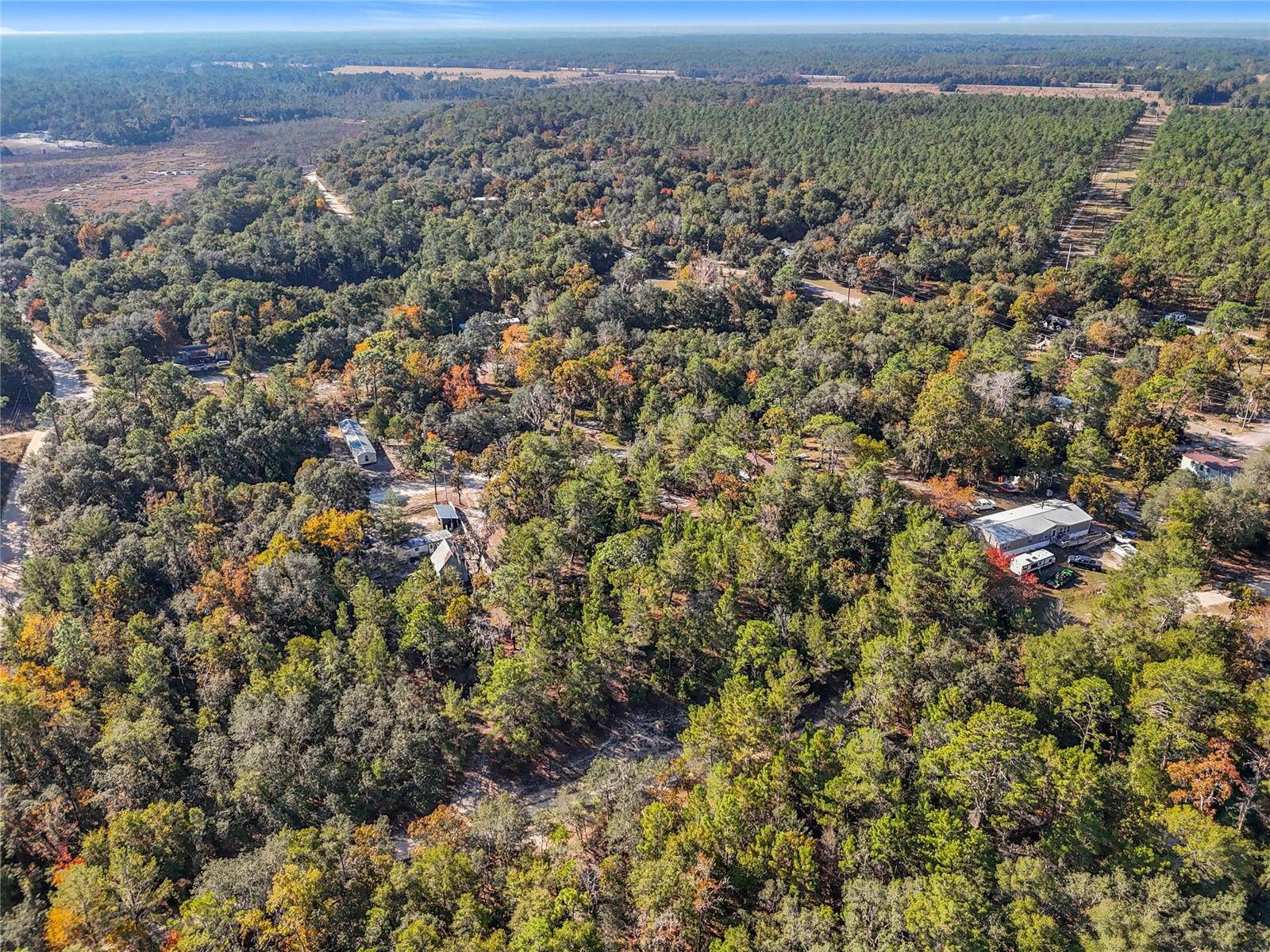 Image 17 of 17 For 109 Lucas Street