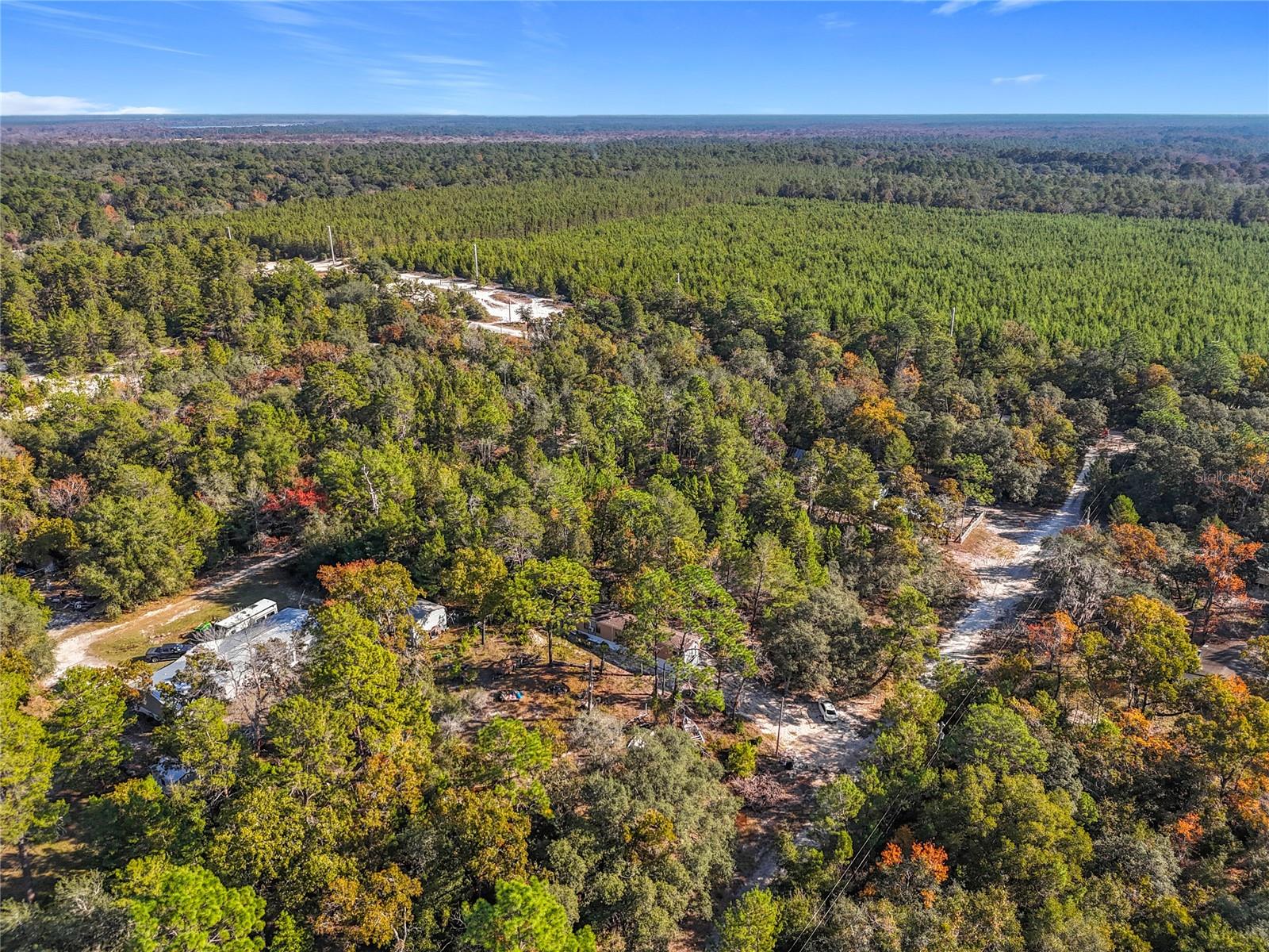 Image 6 of 17 For 109 Lucas Street