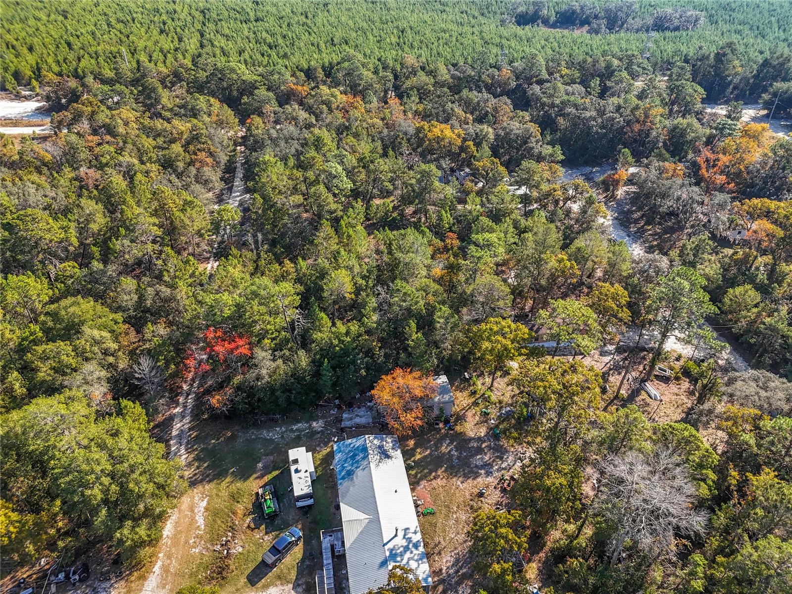 Image 8 of 17 For 109 Lucas Street