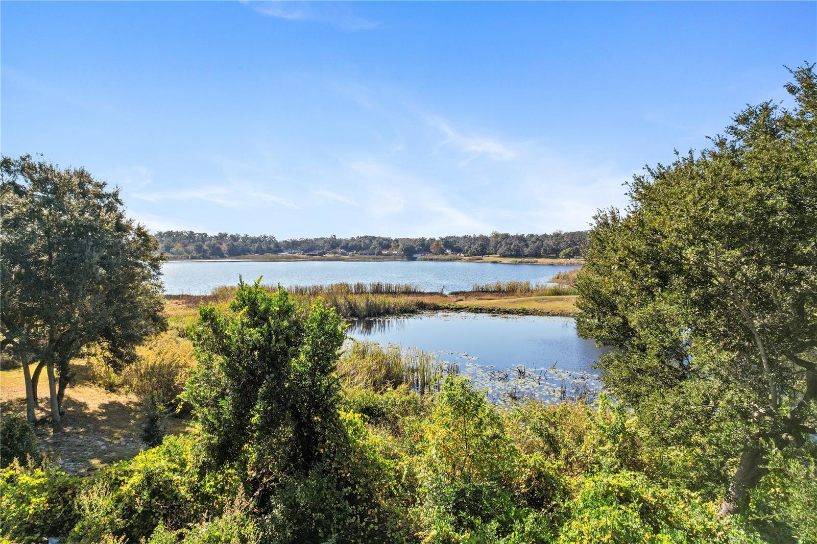 Image 46 of 50 For 1621 Orne Street