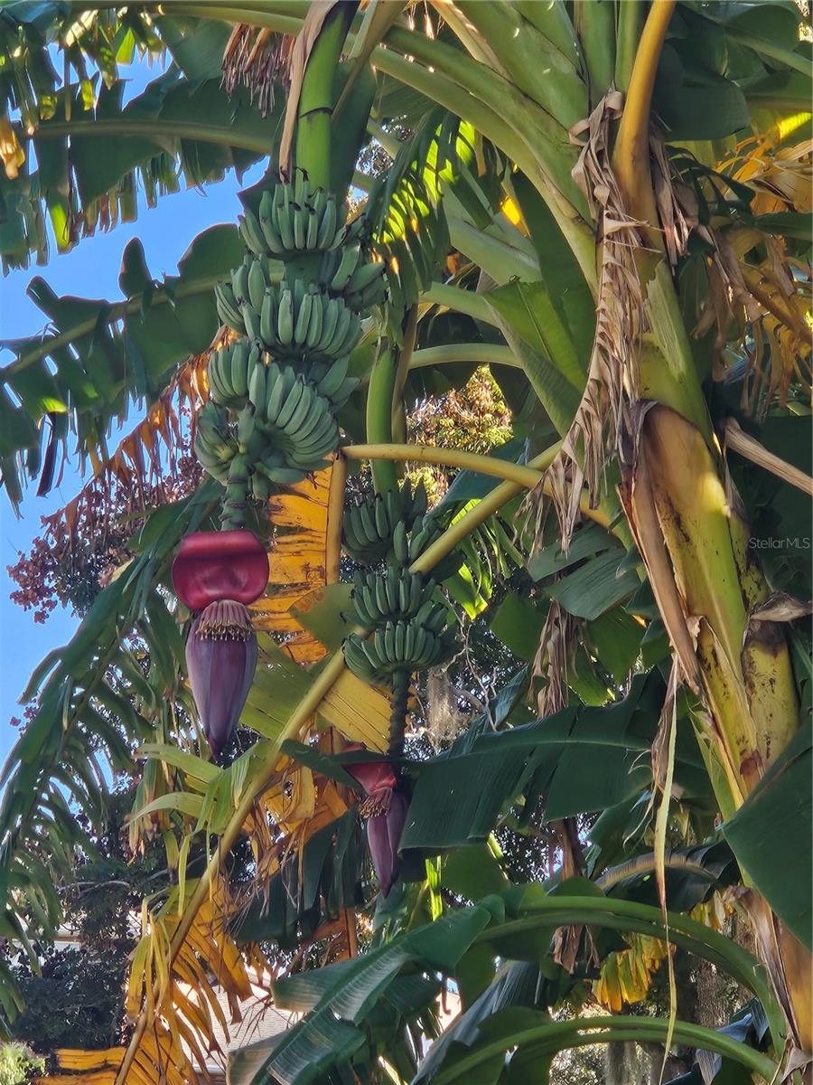 Image 33 of 45 For 116 Raintree Court