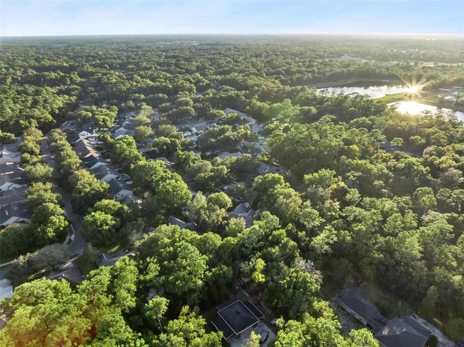 Image 57 of 64 For 720 Swaying Pine Way