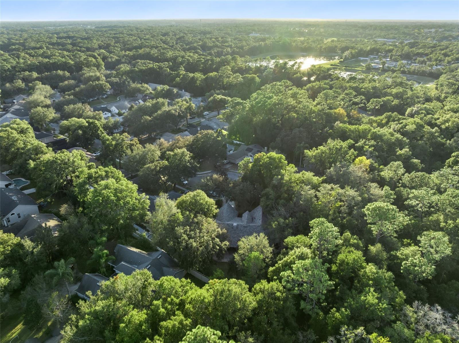 Image 58 of 64 For 720 Swaying Pine Way