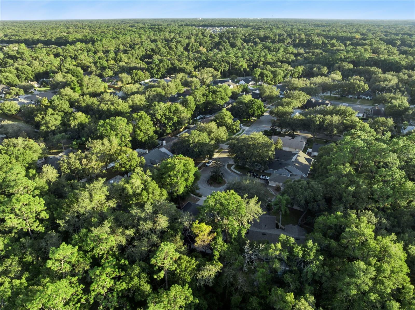 Image 59 of 64 For 720 Swaying Pine Way