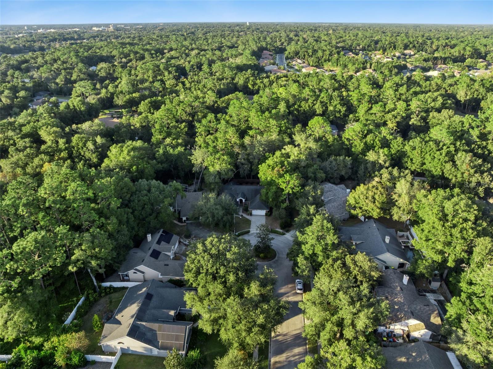 Image 60 of 64 For 720 Swaying Pine Way