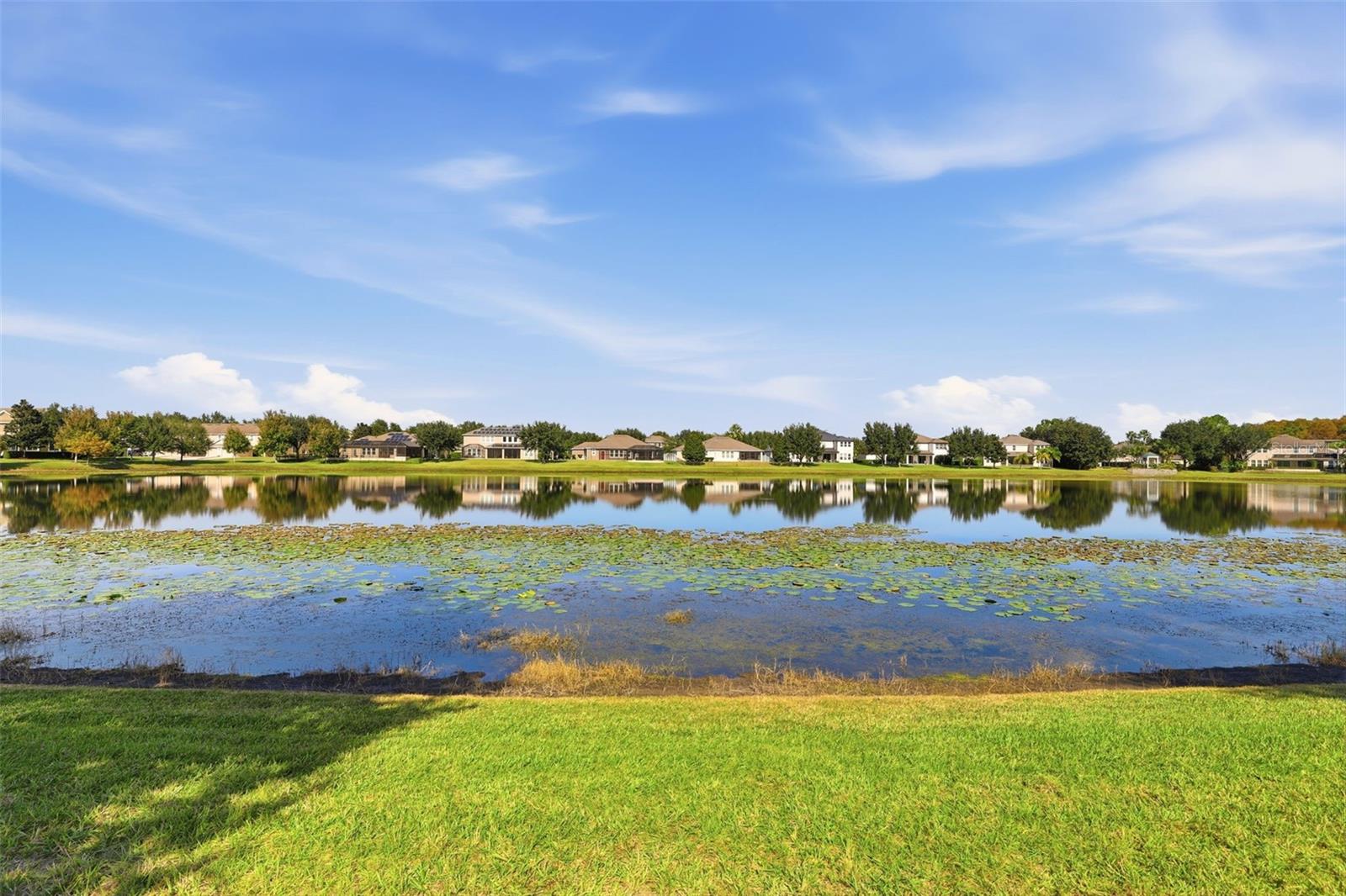 Image 46 of 77 For 10400 Woodward Winds Drive