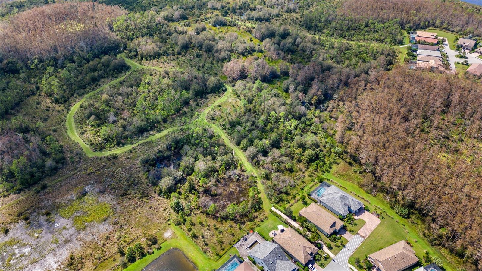 Image 60 of 60 For 20162 Corkscrew Shores Boulevard