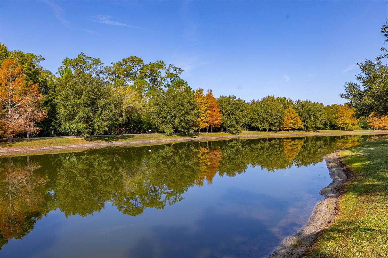 Image 57 of 57 For 12333 Via Derna Place