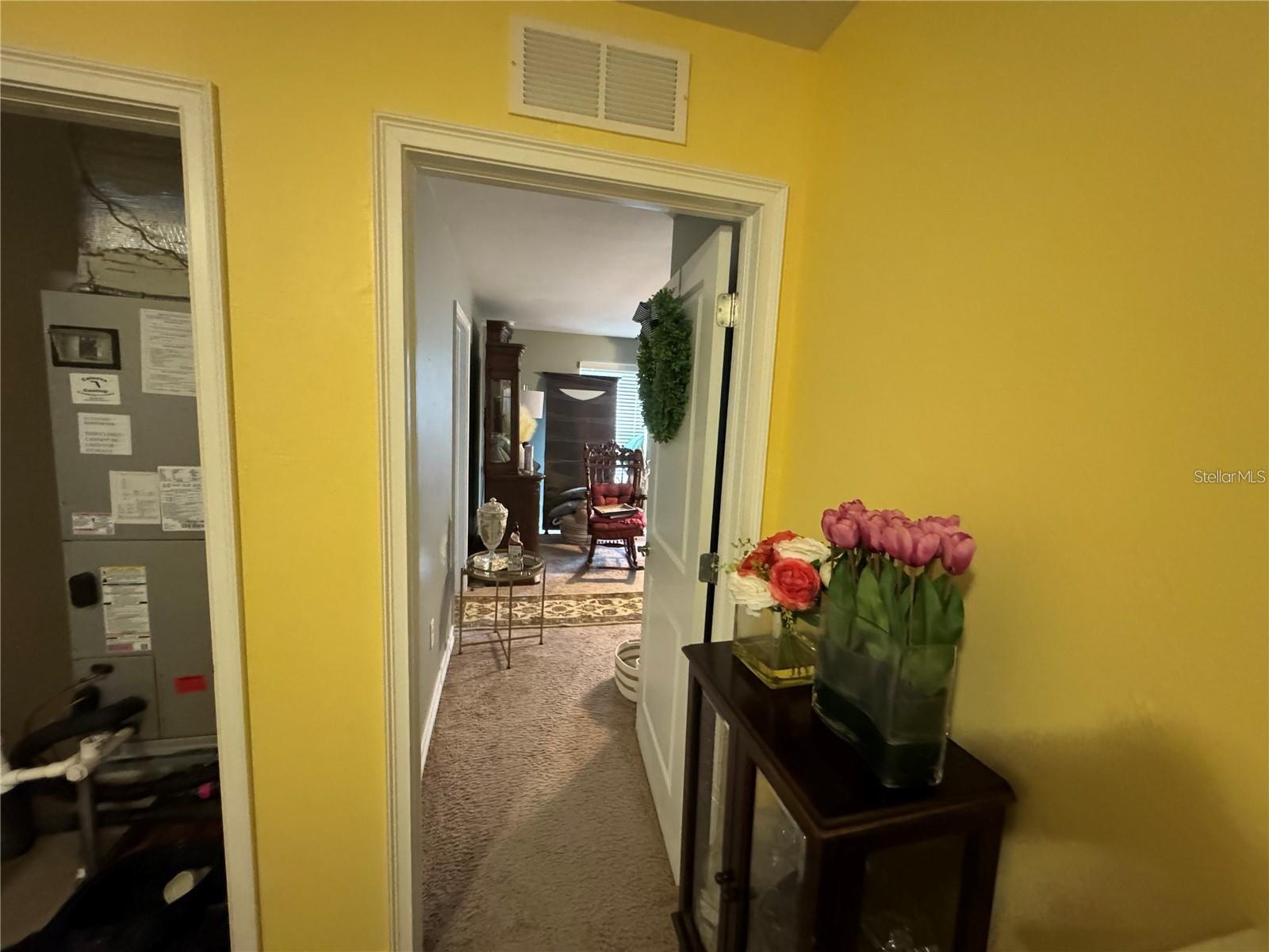 Image 14 of 26 For 8171 Gopher Tortoises Trail