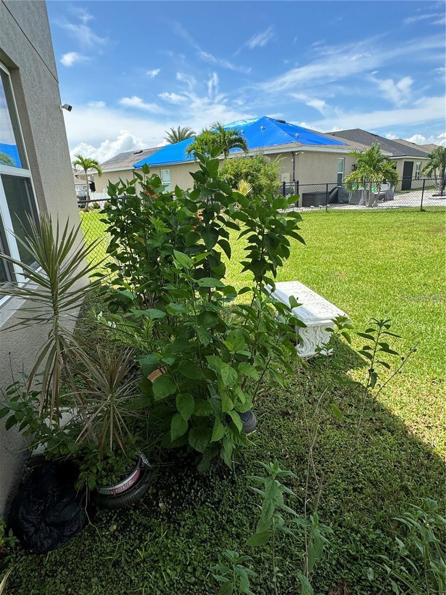 Image 21 of 26 For 8171 Gopher Tortoises Trail
