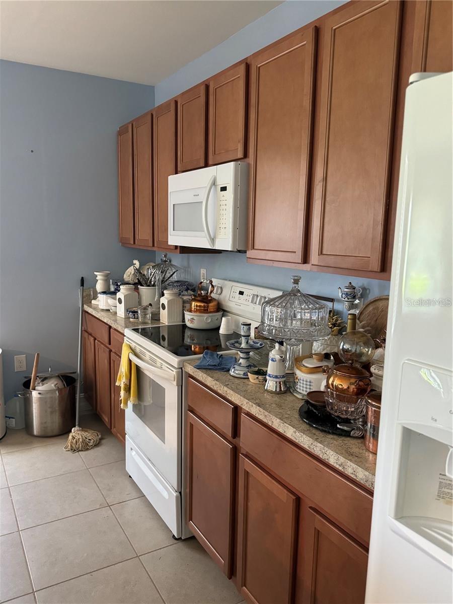 Image 5 of 26 For 8171 Gopher Tortoises Trail