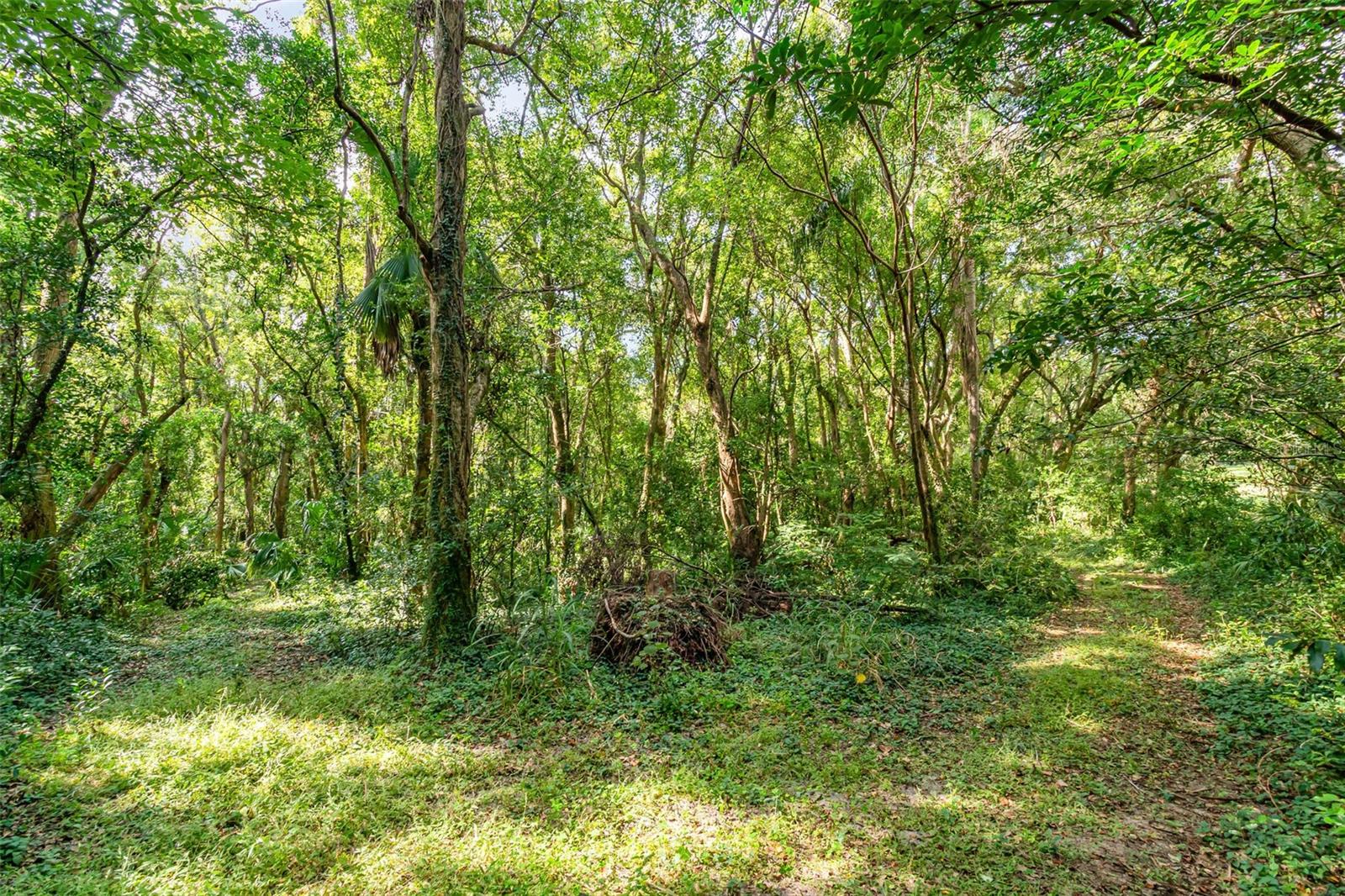 Image 22 of 34 For 6160 Allen Street