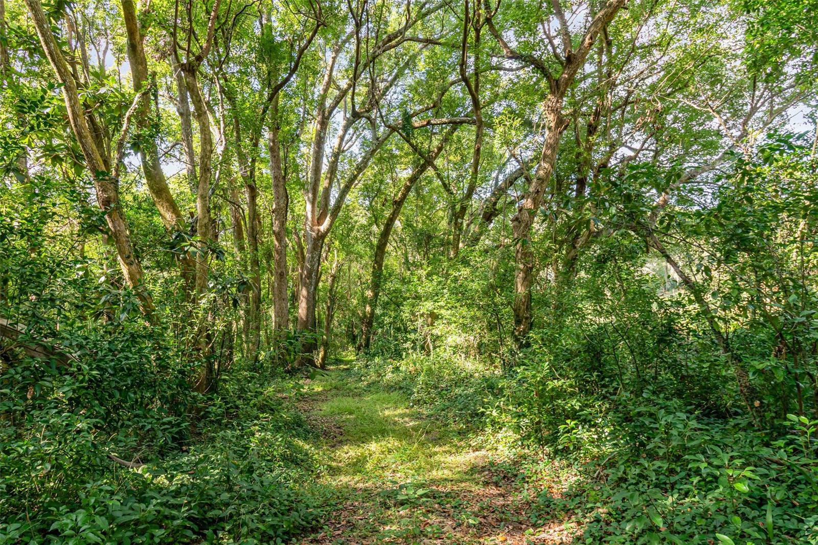 Image 23 of 34 For 6160 Allen Street