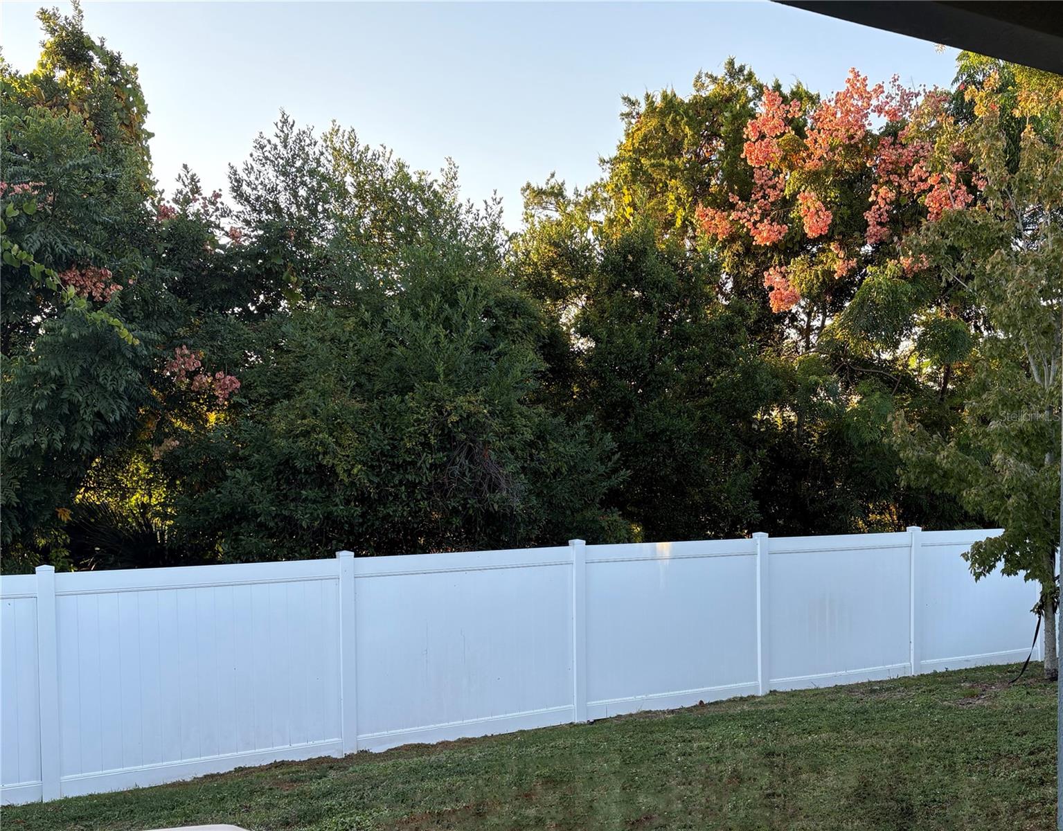 Image 25 of 26 For 224 August Fern Loop