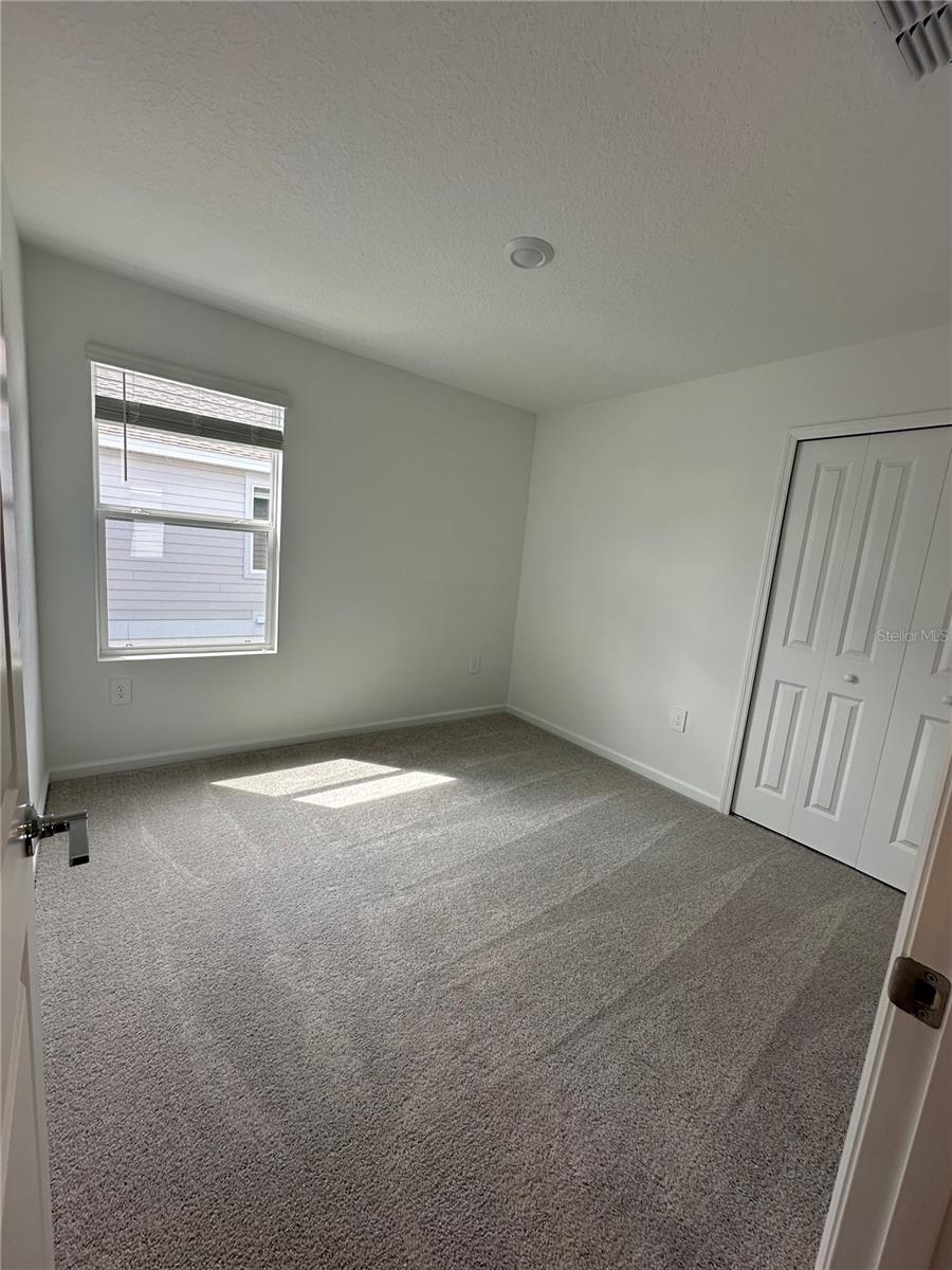 Image 11 of 29 For 5695 Ficus Aurea St