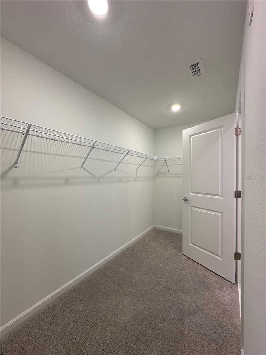 Image 12 of 29 For 5695 Ficus Aurea St