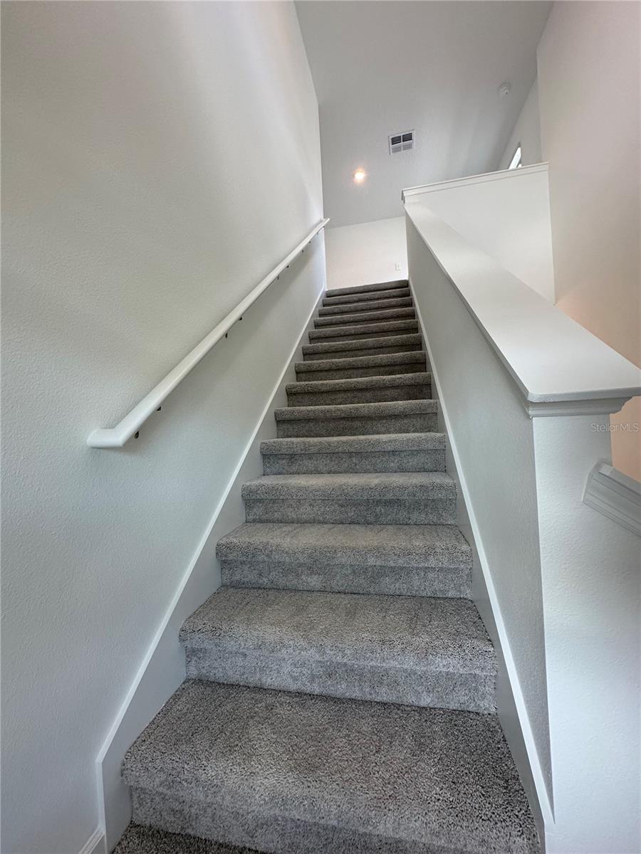 Image 17 of 29 For 5695 Ficus Aurea St