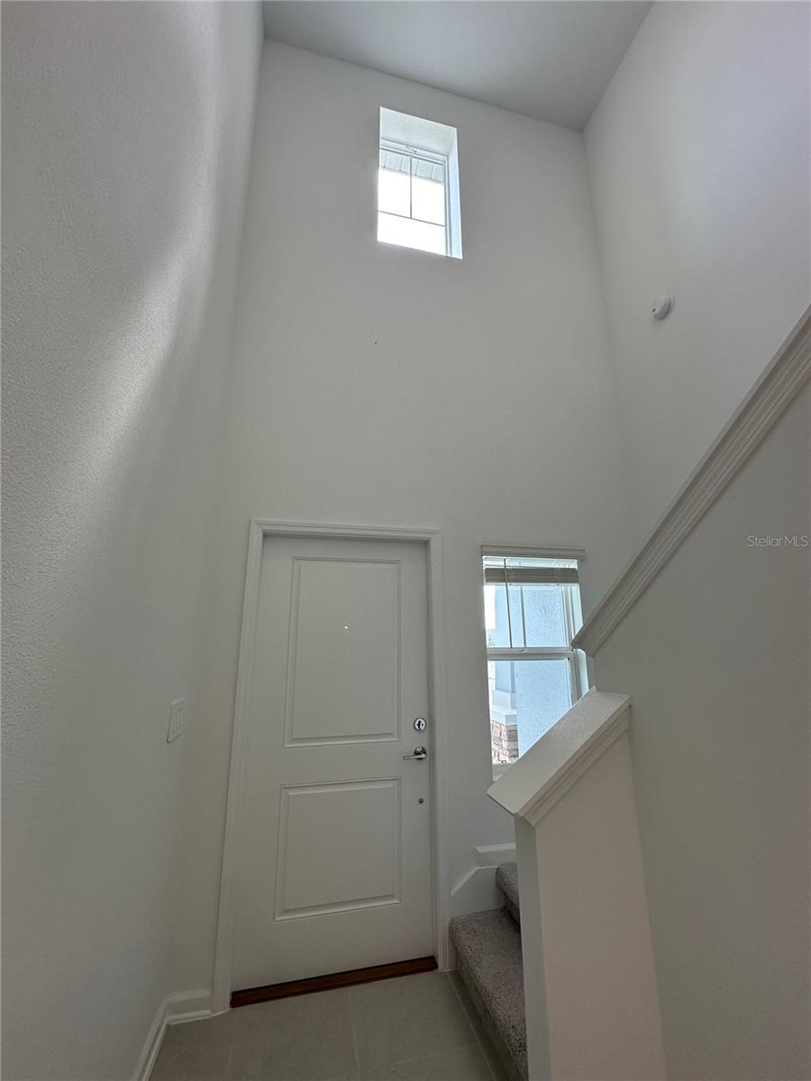 Image 18 of 29 For 5695 Ficus Aurea St